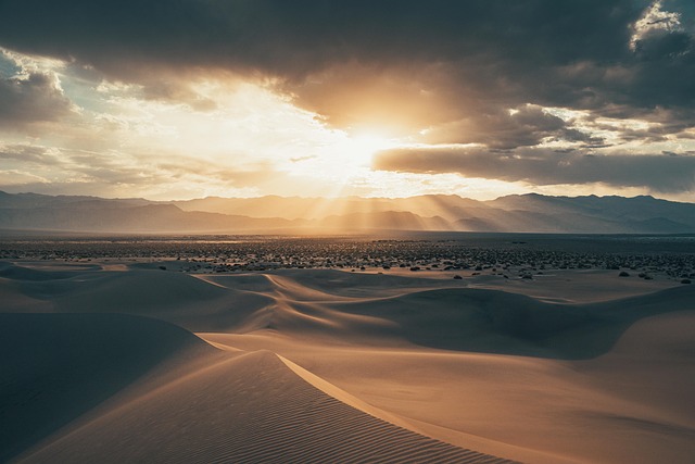 desert landscape