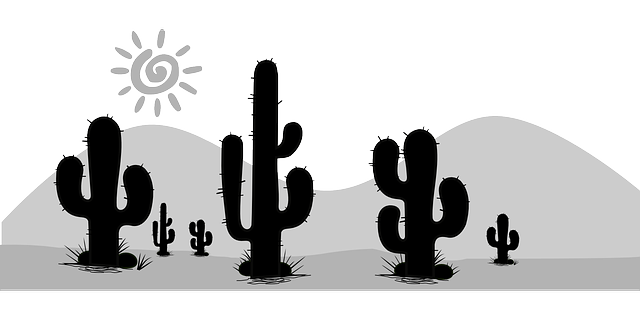 desert landscape