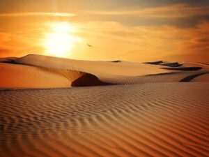 desert-landscape-640x480-5196431.jpeg