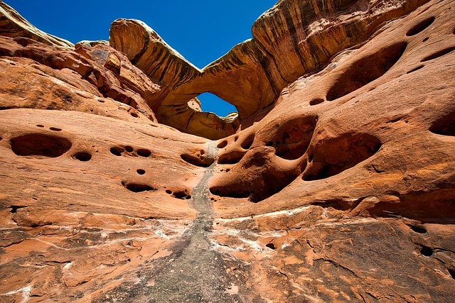 desert landscape