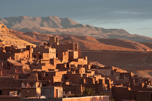 desert landscape