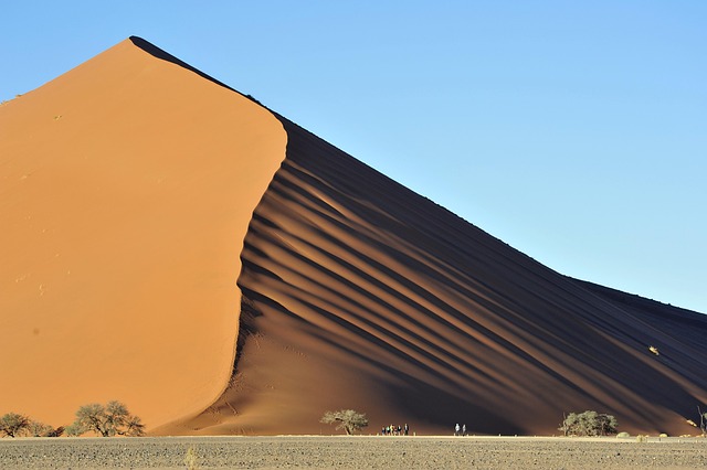 desert landscape