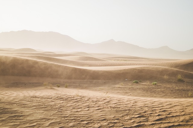 desert landscape