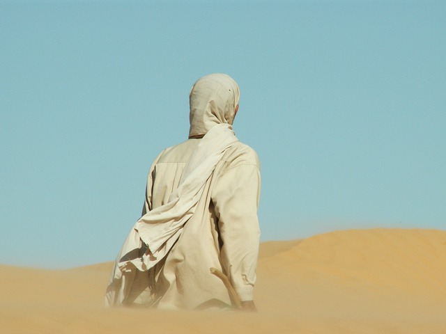 desert landscape