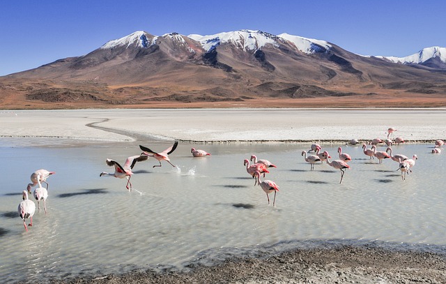 desert-landscape-640x480-57021197.jpeg