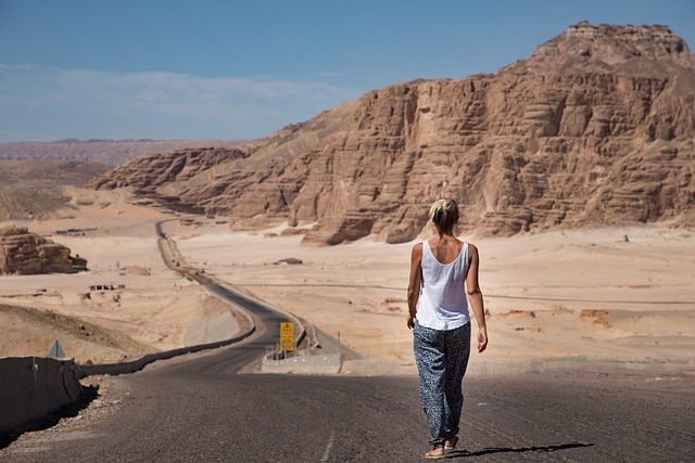 desert landscape