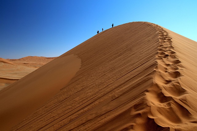 desert landscape