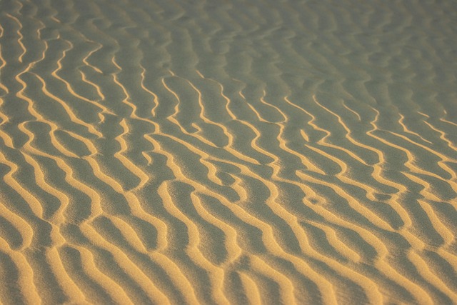 desert landscape