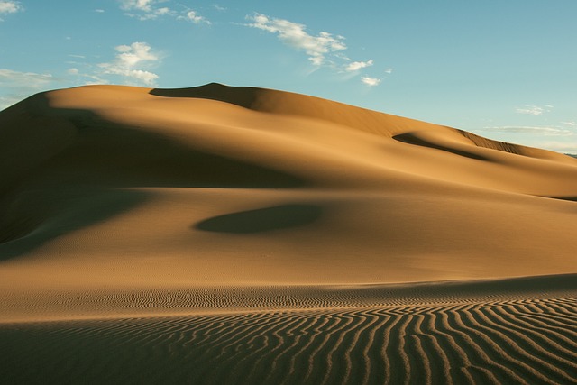 desert landscape