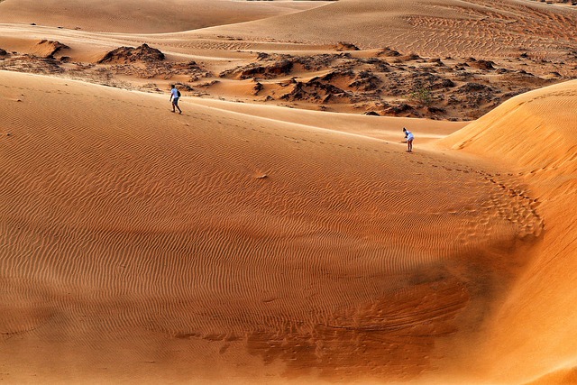 desert landscape