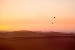 Elevate Your Business: Mastering Citrus Park SEO Strategies