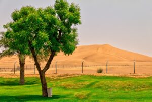 desert-landscape-640x480-7302499.jpeg