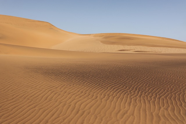 desert landscape