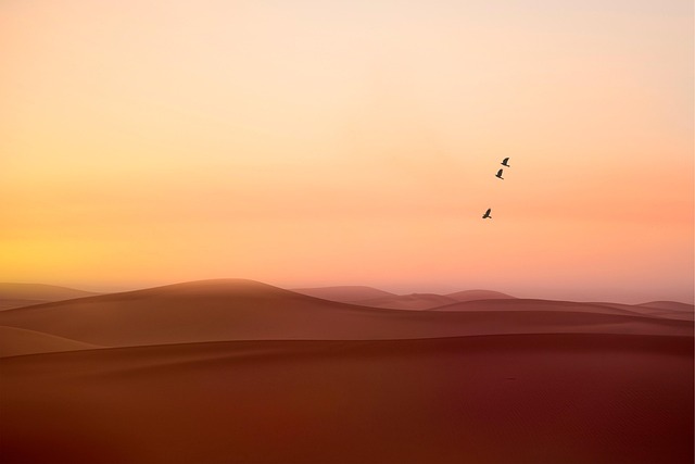 desert landscape