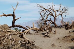 desert-landscape-640x480-84090430.jpeg