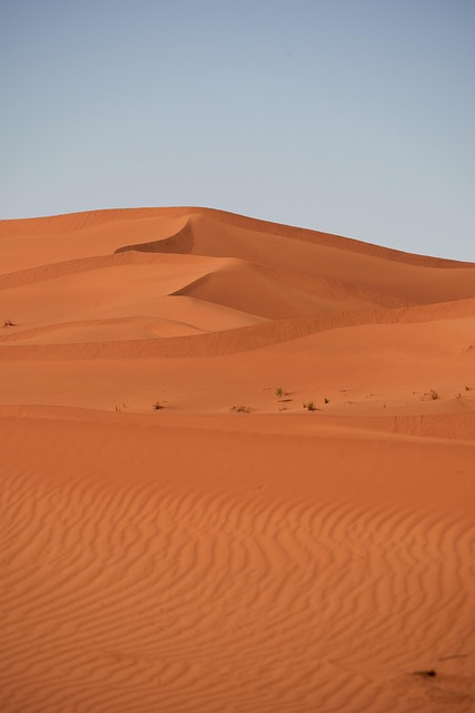 desert landscape