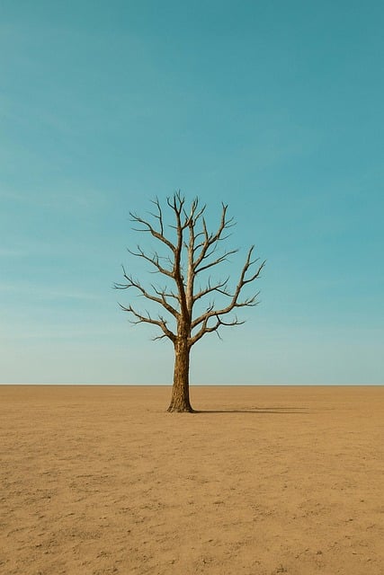 desert landscape