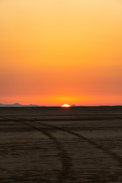desert landscape