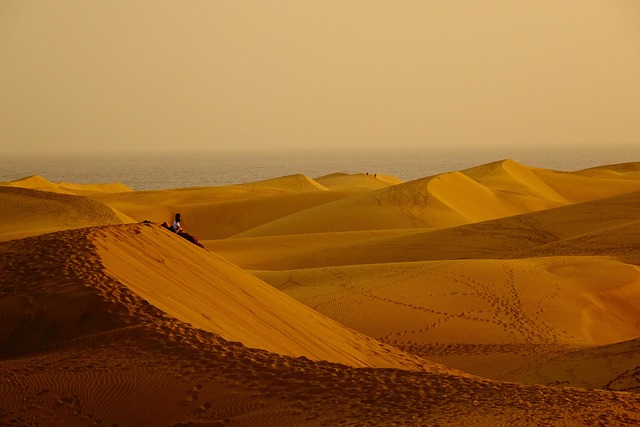 desert-landscape-640x480-93913039.jpeg