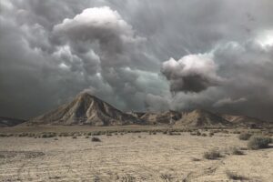 Bisbee SEO: Entity Optimization Strategies for Local Business Growth