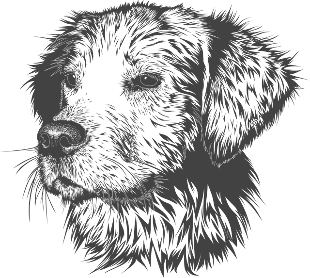 face-640x480-3929989.png