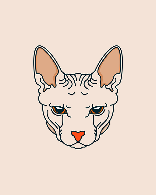 face