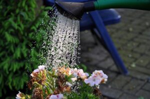 Maximize Heat Recovery Efficiency: Condensing Gas Water Heater Guide