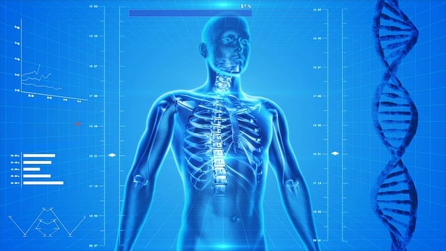 human-640x480-3659758.jpeg