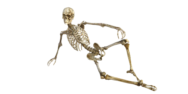human