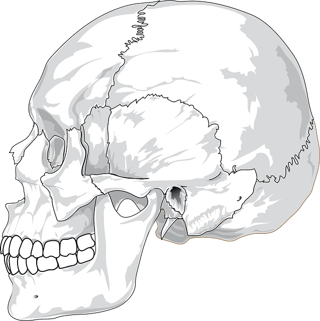 human
