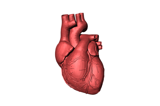 human-640x480-42543685.png