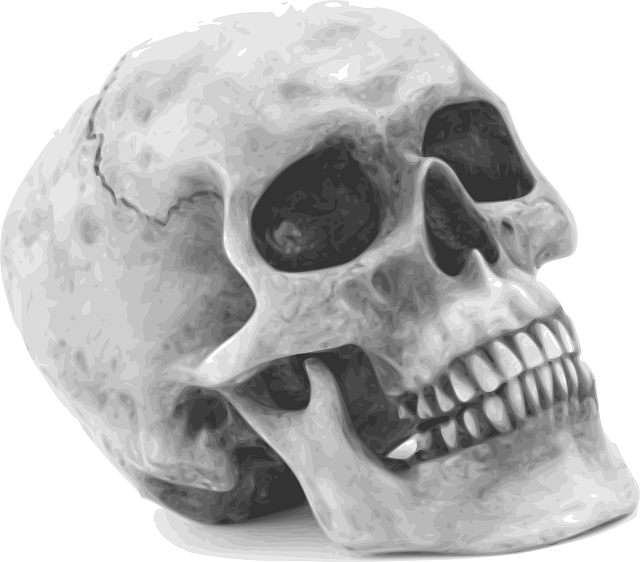 human-640x480-43358729.png