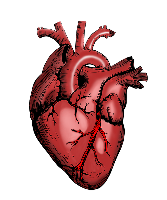 human-640x480-48393087.png