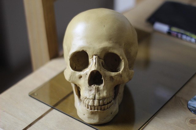 human-640x480-56903125.jpeg