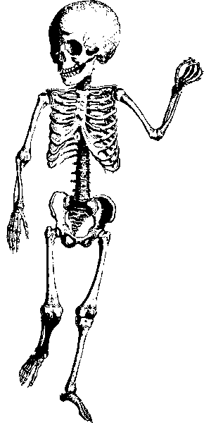 human-640x480-76188027.png
