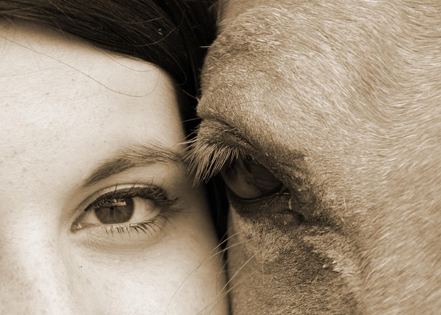 human-640x480-812959.jpeg