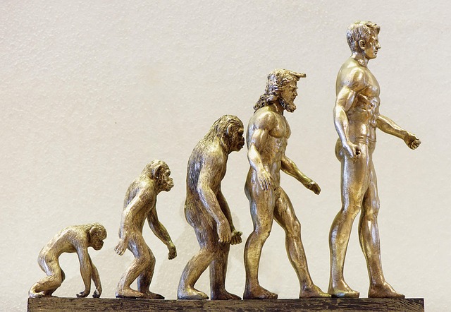 human