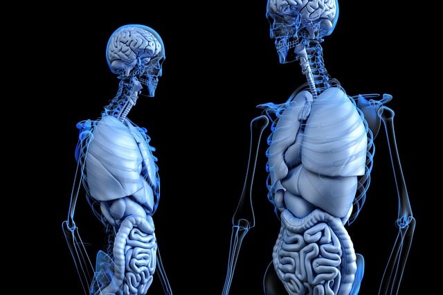 human-640x480-90447906.jpeg