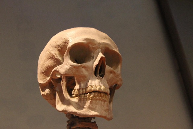 human-640x480-97774304.jpeg