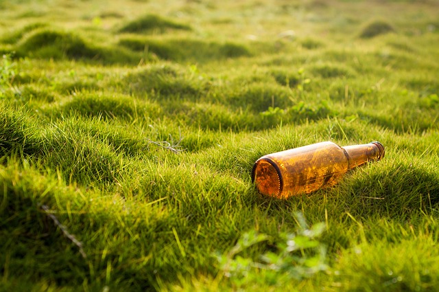 lawn-care-640x480-11227618.jpeg