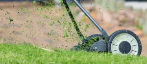 lawn-care-640x480-77108856.jpeg