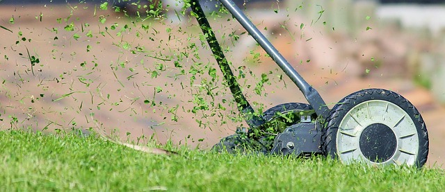 lawn-care-640x480-77108856.jpeg