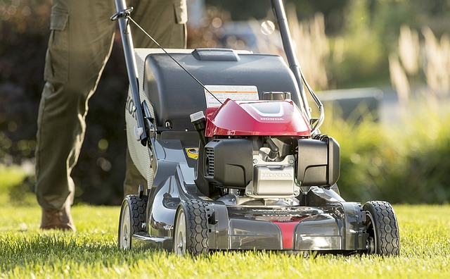 lawn-care-640x480-84958306.jpeg