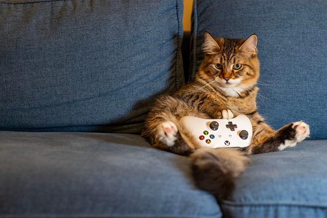 Pet Sitting