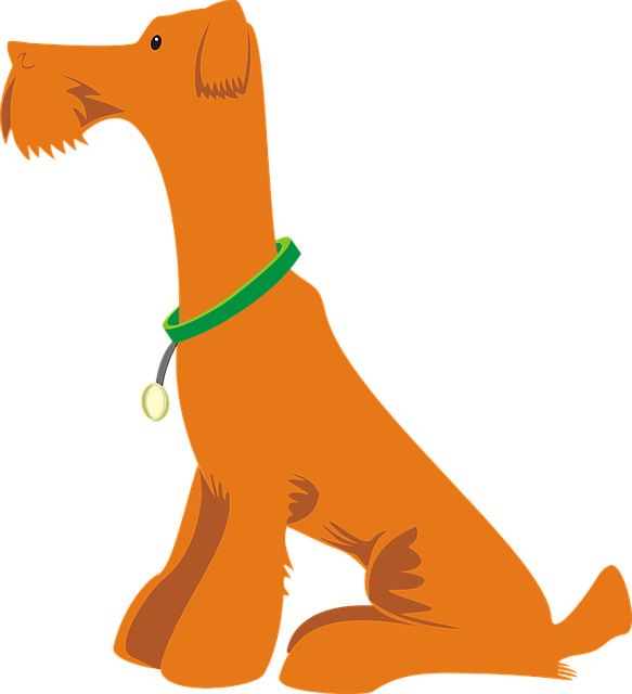 pet-sitting-640x480-95876269.png