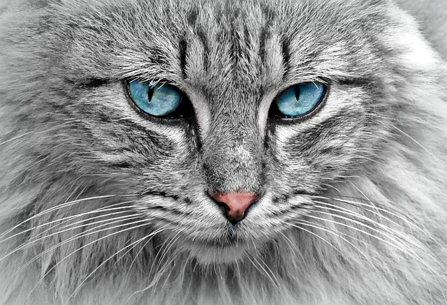portrait-640x480-22094479.jpeg