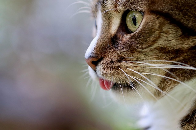 portrait-640x480-97929664.jpeg