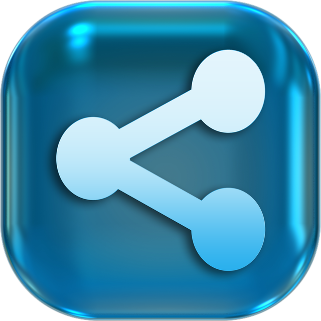 social network