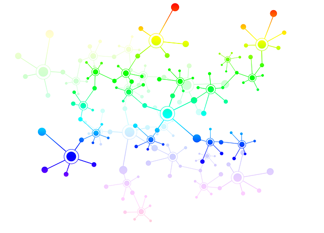 social network