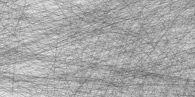 social network